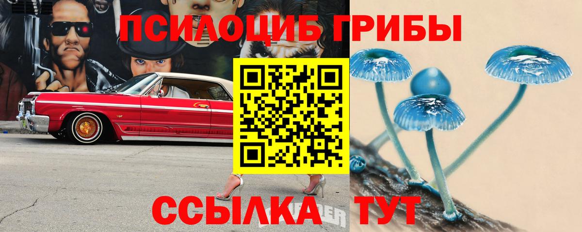 Галлюциногенные грибы Magic Shrooms  Псилоцибиновые грибы мухоморы  где продают наркотики  Вход с VPN  Избербаш 